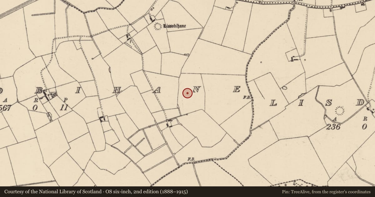 Ordnance Survey six-inch map, 2nd edition (1888–1915) covering the location of Barrow - ring-barrow, Lissobihane, County Tipperary South, with a pin at the register's coordinates
