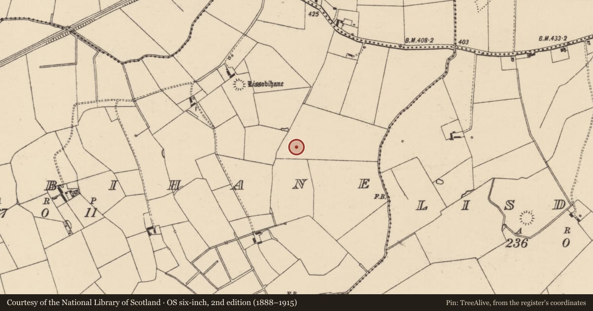 Ordnance Survey six-inch map, 2nd edition (1888–1915) covering the location of Barrow - ditch barrow, Lissobihane, County Tipperary South, with a pin at the register's coordinates
