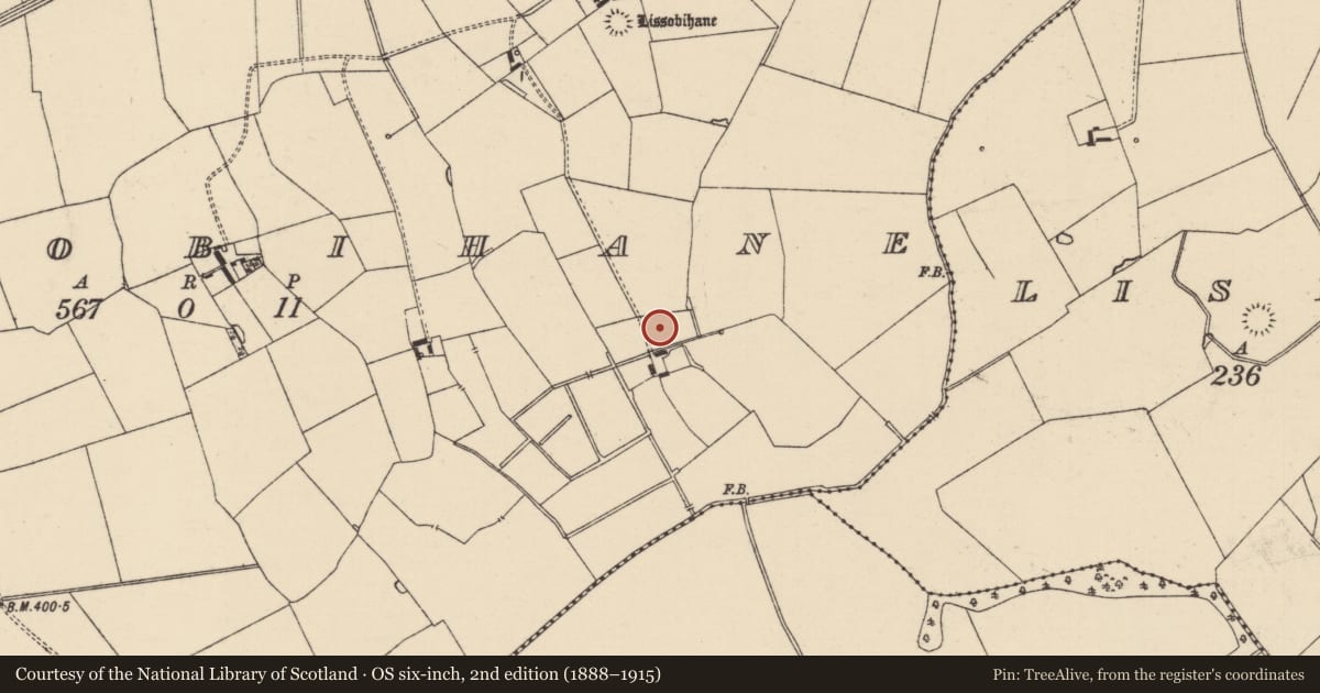 Ordnance Survey six-inch map, 2nd edition (1888–1915) covering the location of Barrow - ditch barrow, Lissobihane, County Tipperary South, with a pin at the register's coordinates
