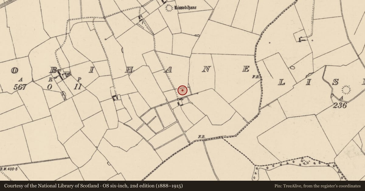 Ordnance Survey six-inch map, 2nd edition (1888–1915) covering the location of Barrow - ditch barrow, Lissobihane, County Tipperary South, with a pin at the register's coordinates