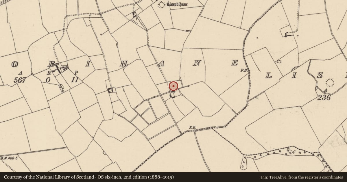 Ordnance Survey six-inch map, 2nd edition (1888–1915) covering the location of Barrow - unclassified, Lissobihane, County Tipperary South, with a pin at the register's coordinates