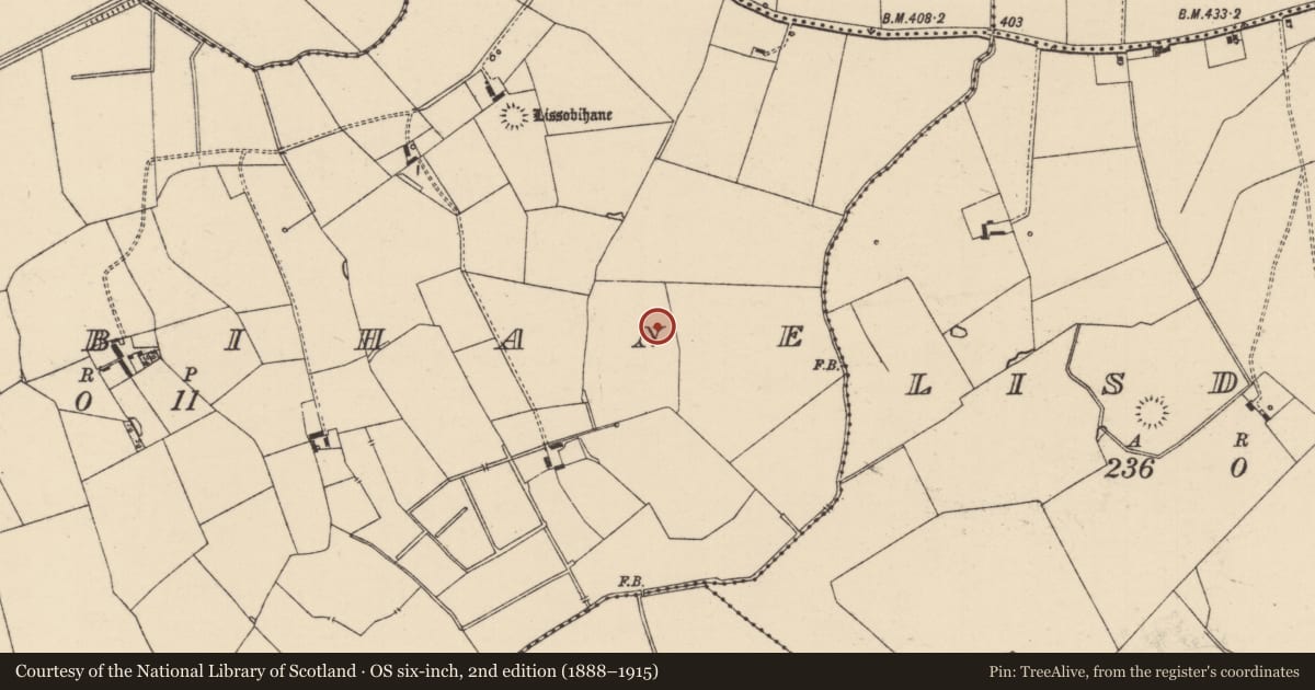 Ordnance Survey six-inch map, 2nd edition (1888–1915) covering the location of Barrow - ditch barrow, Lissobihane, County Tipperary South, with a pin at the register's coordinates