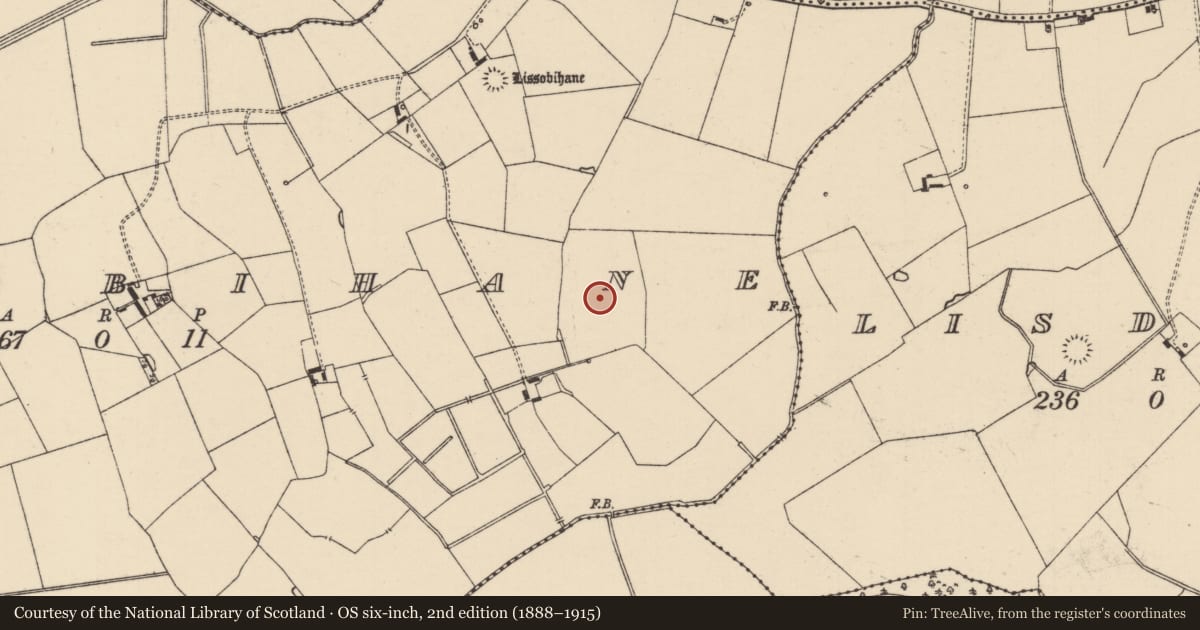 Ordnance Survey six-inch map, 2nd edition (1888–1915) covering the location of Barrow - ditch barrow, Lissobihane, County Tipperary South, with a pin at the register's coordinates