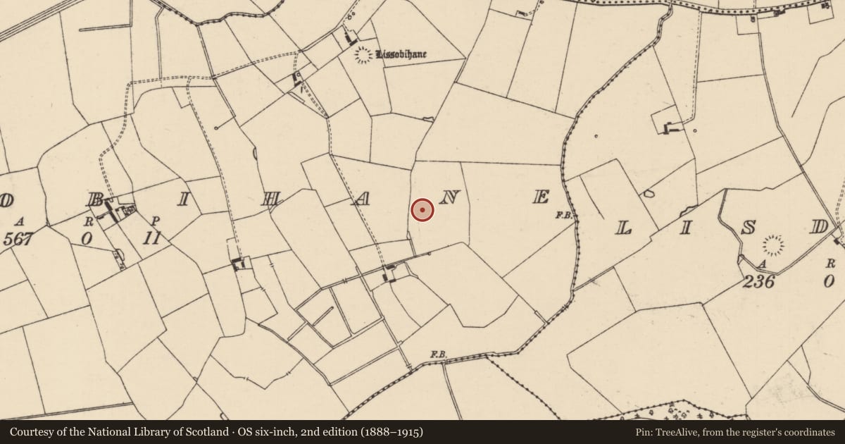Ordnance Survey six-inch map, 2nd edition (1888–1915) covering the location of Barrow - ditch barrow, Lissobihane, County Tipperary South, with a pin at the register's coordinates