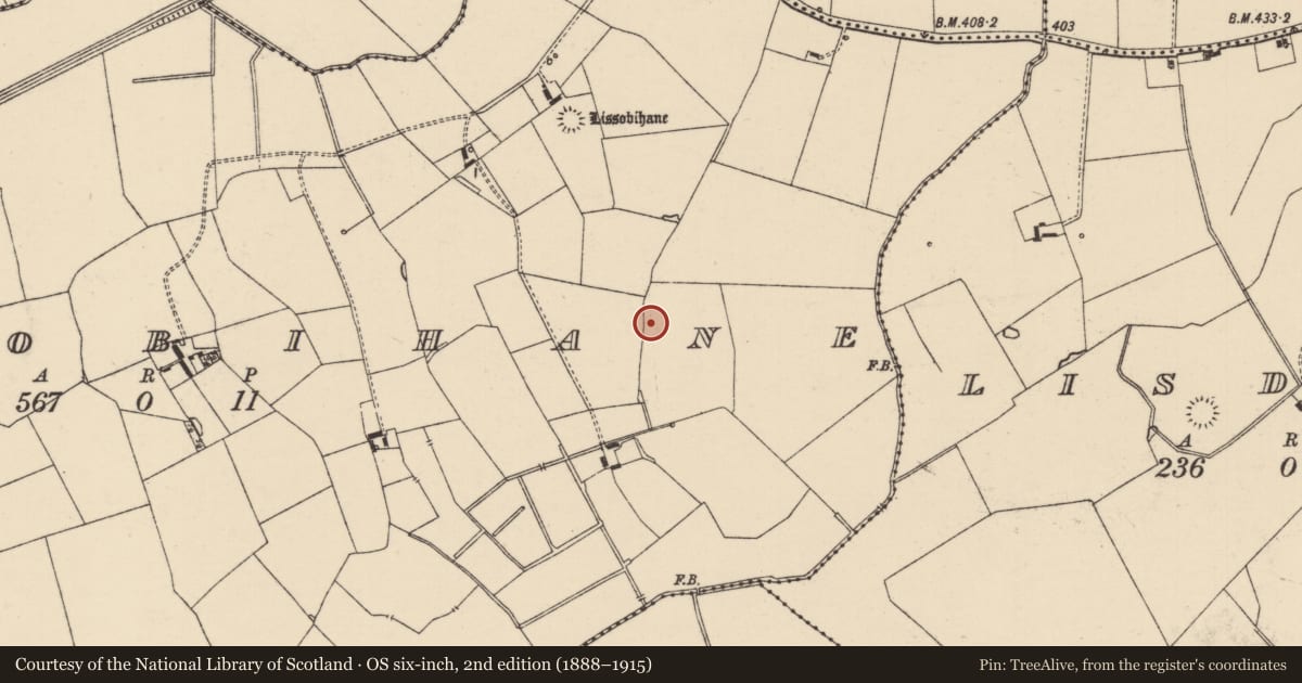 Ordnance Survey six-inch map, 2nd edition (1888–1915) covering the location of Barrow - ditch barrow, Lissobihane, County Tipperary South, with a pin at the register's coordinates