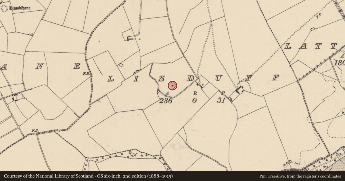 Ordnance Survey six-inch map, 2nd edition (1888–1915) covering the location of Barrow - unclassified, Lisduff (Lattin Par.), County Tipperary South, with a pin at the register's coordinates