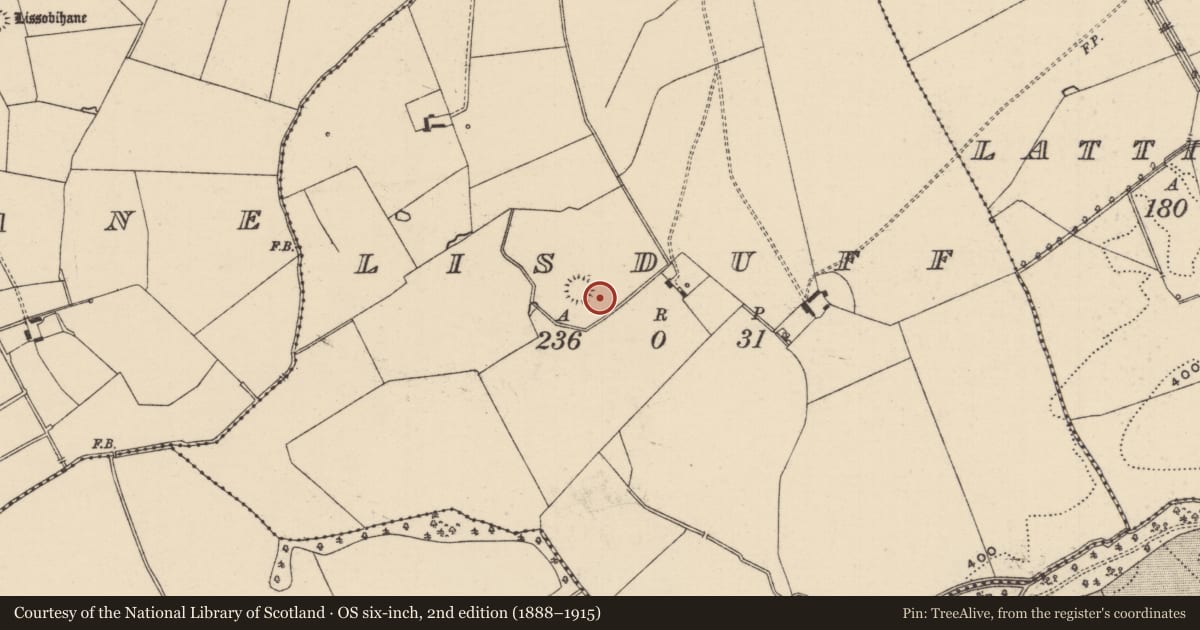 Ordnance Survey six-inch map, 2nd edition (1888–1915) covering the location of Ring-ditch, Lisduff (Lattin Par.), County Tipperary South, with a pin at the register's coordinates