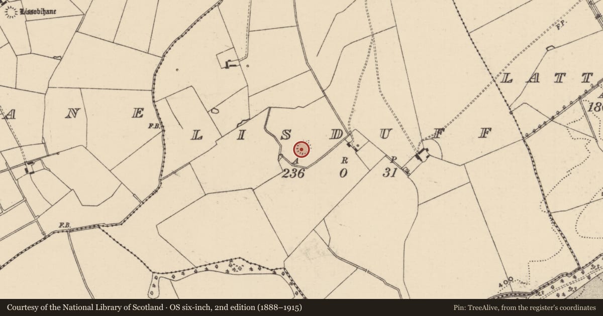 Ordnance Survey six-inch map, 2nd edition (1888–1915) covering the location of Barrow - ring-barrow, Lisduff (Lattin Par.), County Tipperary South, with a pin at the register's coordinates