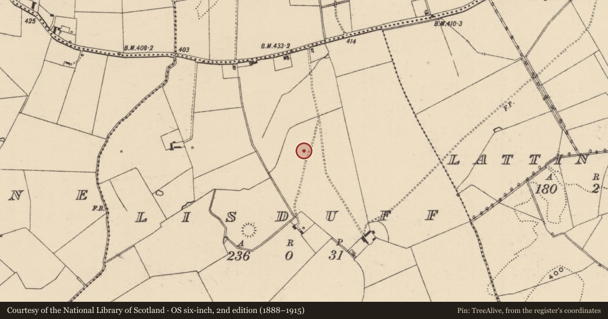 Ordnance Survey six-inch map, 2nd edition (1888–1915) covering the location of Barrow - ring-barrow, Lisduff (Lattin Par.), County Tipperary South, with a pin at the register's coordinates