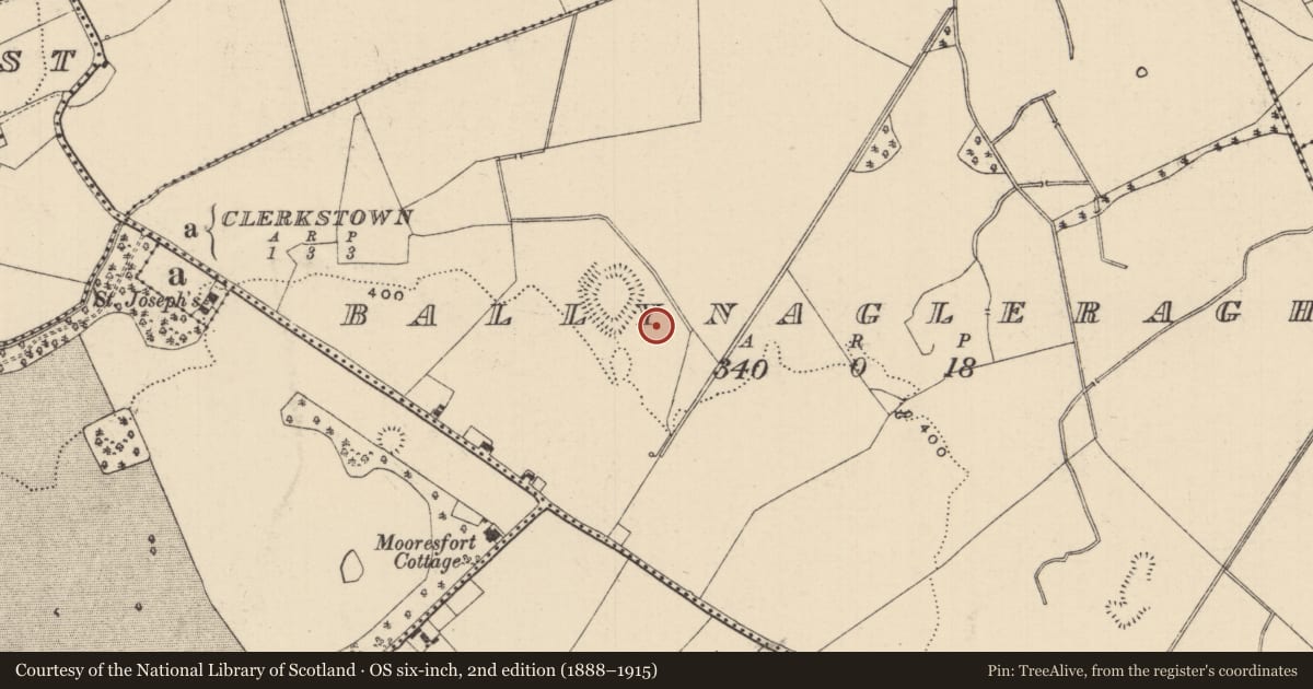 Ordnance Survey six-inch map, 2nd edition (1888–1915) covering the location of Enclosure, Ballynagleragh, County Tipperary South, with a pin at the register's coordinates
