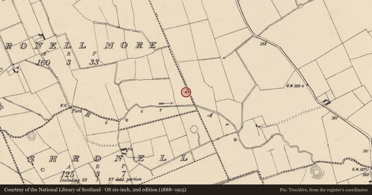 Ordnance Survey six-inch map, 2nd edition (1888–1915) covering the location of Enclosure, Shronell Beg, Shronell More, County Tipperary South, with a pin at the register's coordinates