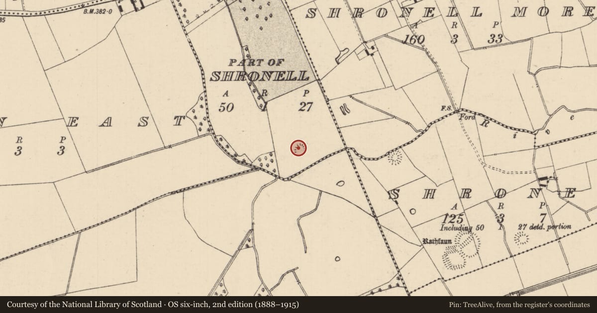 Ordnance Survey six-inch map, 2nd edition (1888–1915) covering the location of Ringfort - rath, Shronell (Shronell Par.), County Tipperary South, with a pin at the register's coordinates