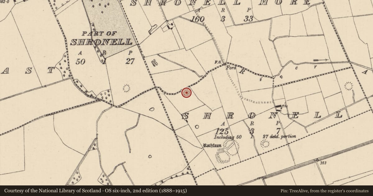 Ordnance Survey six-inch map, 2nd edition (1888–1915) covering the location of Enclosure, Shronell (Bruis Par.), County Tipperary South, with a pin at the register's coordinates