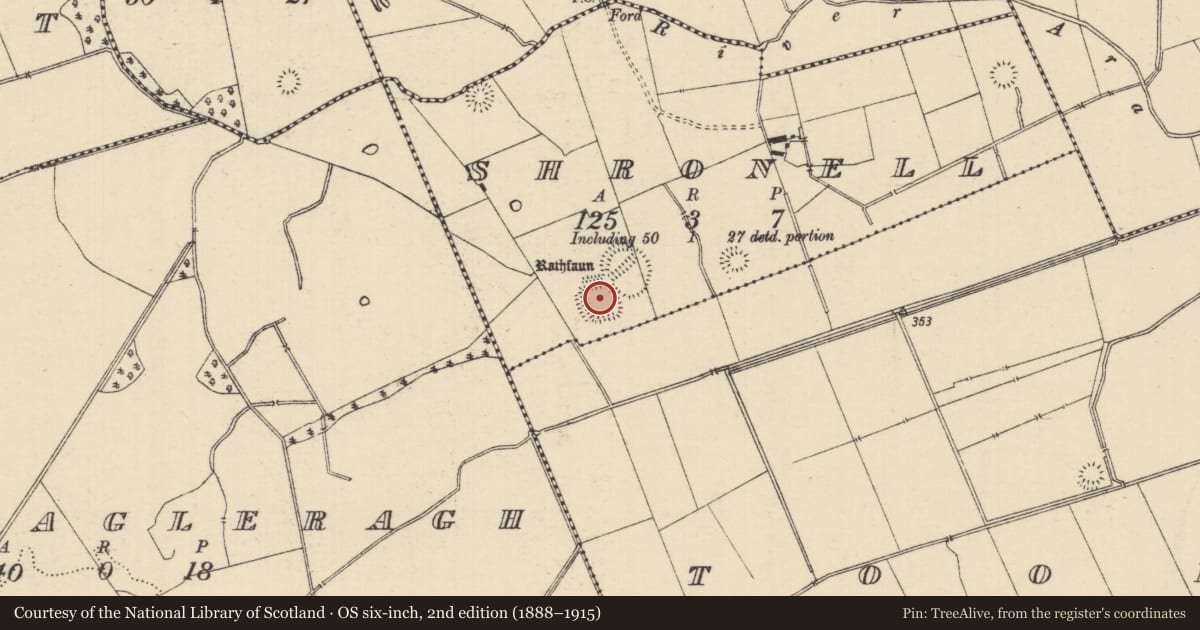 Ordnance Survey six-inch map, 2nd edition (1888–1915) covering the location of Enclosure, Shronell (Bruis Par.), County Tipperary South, with a pin at the register's coordinates