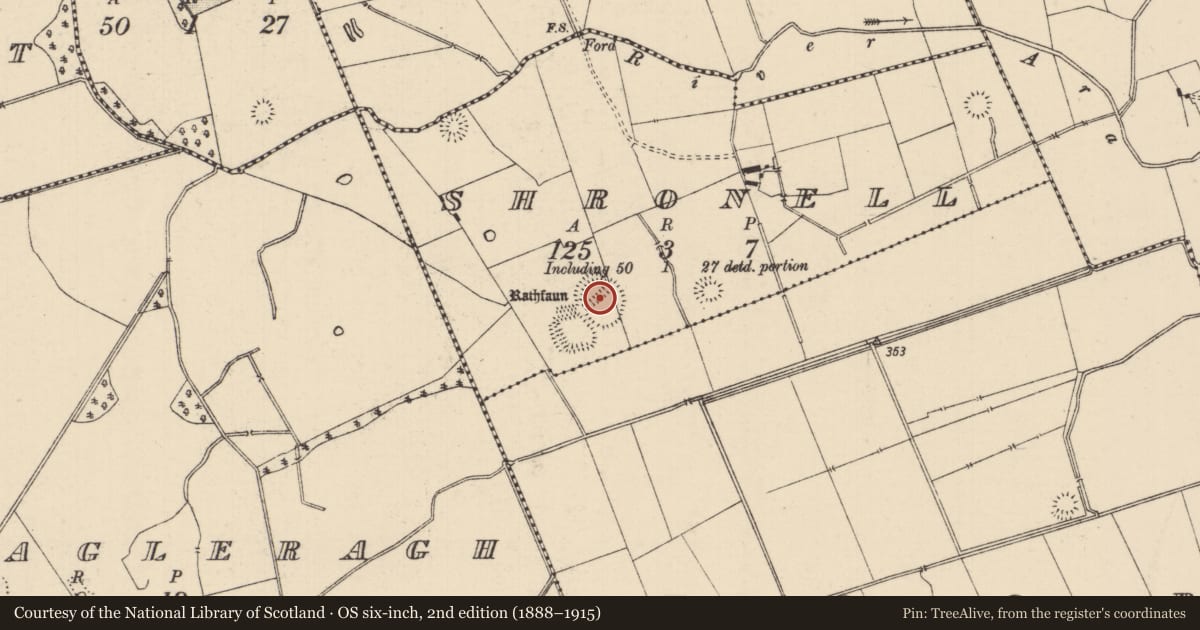 Ordnance Survey six-inch map, 2nd edition (1888–1915) covering the location of Ringfort - rath, Shronell (Bruis Par.), County Tipperary South, with a pin at the register's coordinates