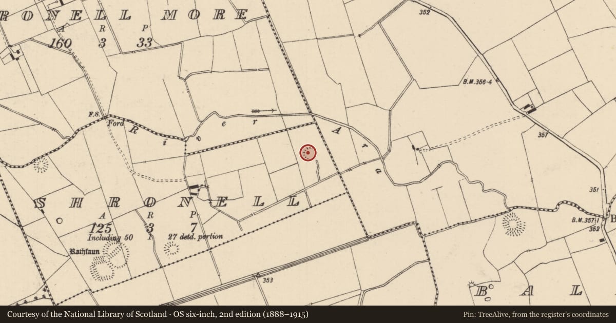 Ordnance Survey six-inch map, 2nd edition (1888–1915) covering the location of Enclosure, Shronell (Bruis Par.), County Tipperary South, with a pin at the register's coordinates