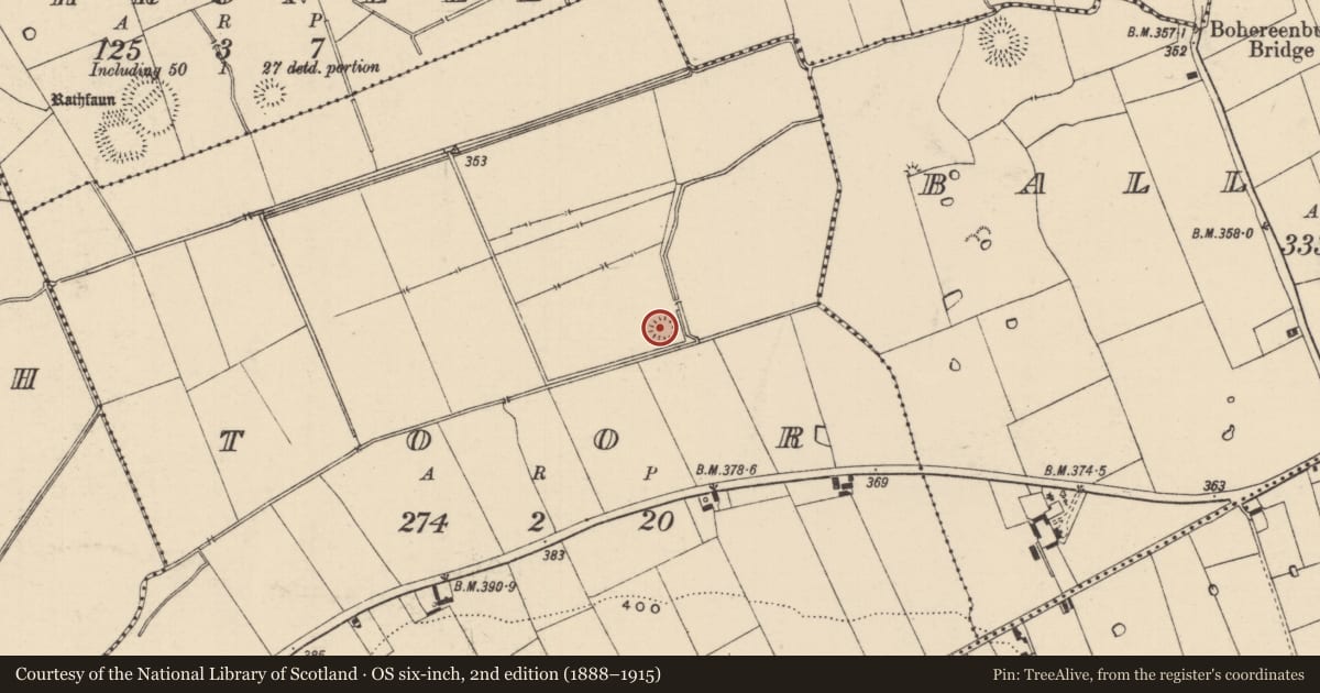 Ordnance Survey six-inch map, 2nd edition (1888–1915) covering the location of Barrow - unclassified, Toor (Bruis Par.), County Tipperary South, with a pin at the register's coordinates