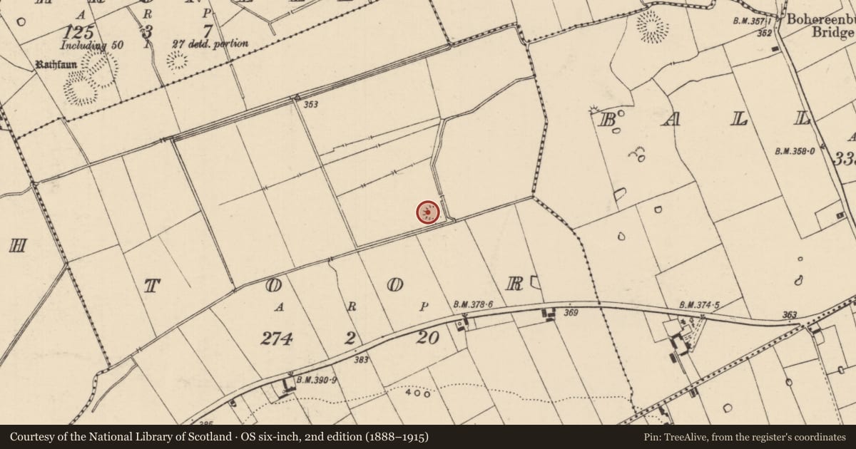Ordnance Survey six-inch map, 2nd edition (1888–1915) covering the location of Barrow - ring-barrow, Toor (Bruis Par.), County Tipperary South, with a pin at the register's coordinates