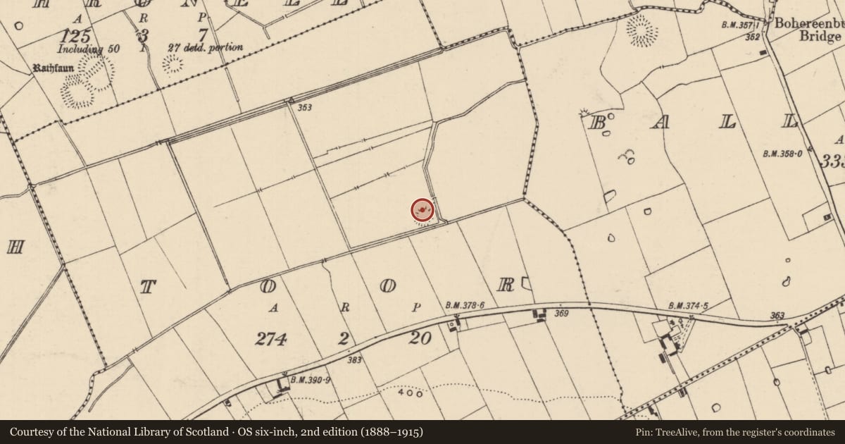Ordnance Survey six-inch map, 2nd edition (1888–1915) covering the location of Barrow - ring-barrow, Toor (Bruis Par.), County Tipperary South, with a pin at the register's coordinates