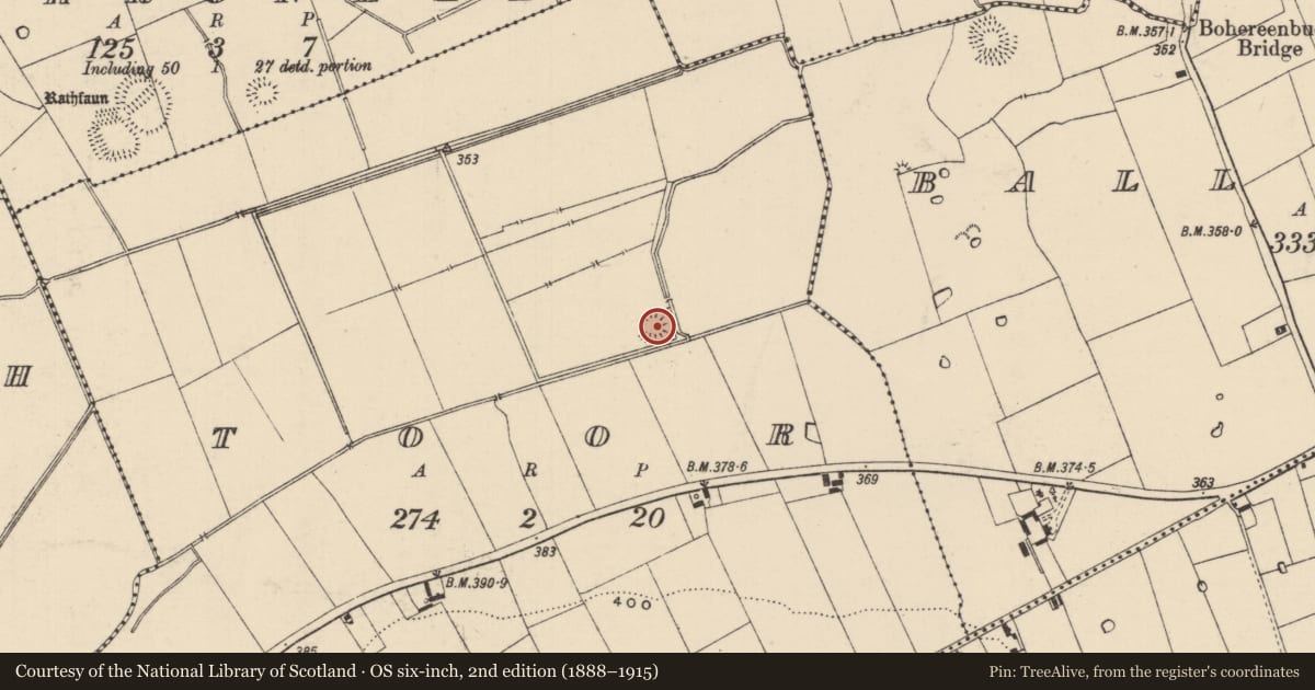 Ordnance Survey six-inch map, 2nd edition (1888–1915) covering the location of Barrow - ditch barrow, Toor (Bruis Par.), County Tipperary South, with a pin at the register's coordinates