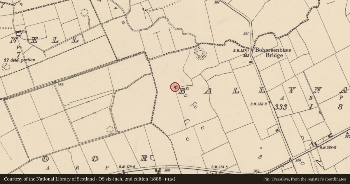 Ordnance Survey six-inch map, 2nd edition (1888–1915) covering the location of Enclosure, Ballynahow (Bruis Par.), County Tipperary South, with a pin at the register's coordinates