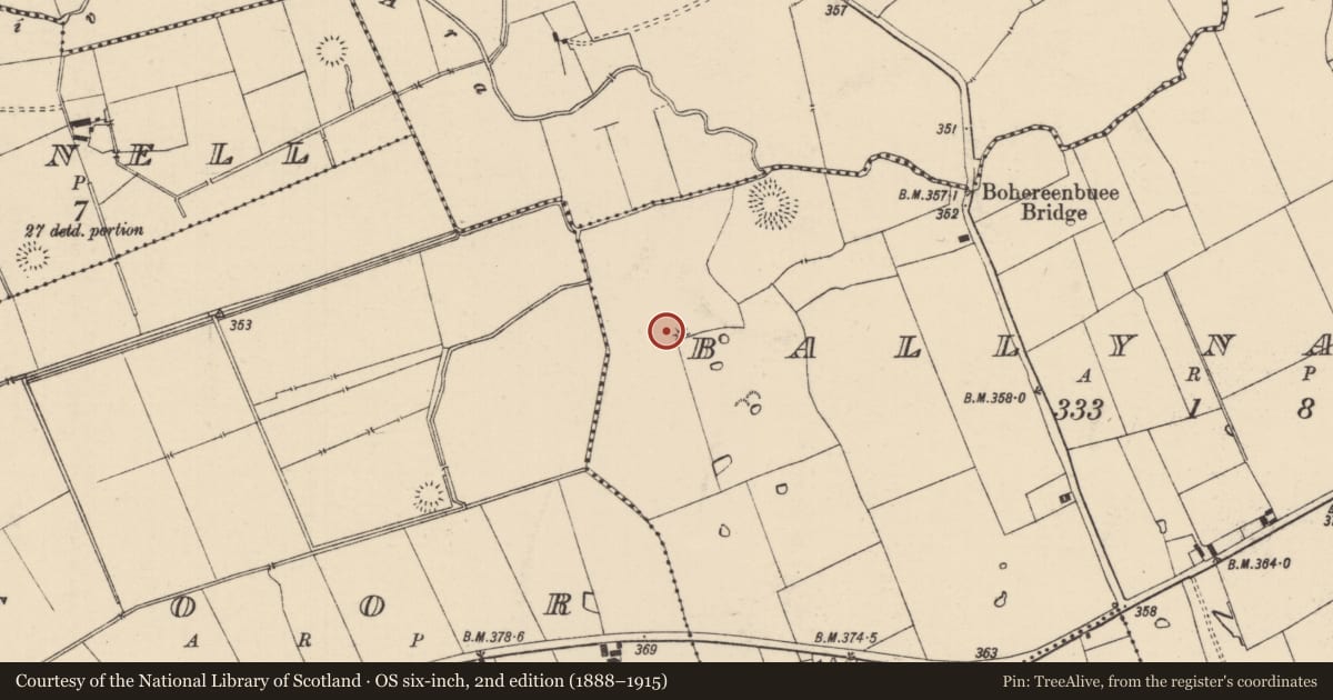 Ordnance Survey six-inch map, 2nd edition (1888–1915) covering the location of Barrow - ditch barrow, Ballynahow (Bruis Par.), County Tipperary South, with a pin at the register's coordinates