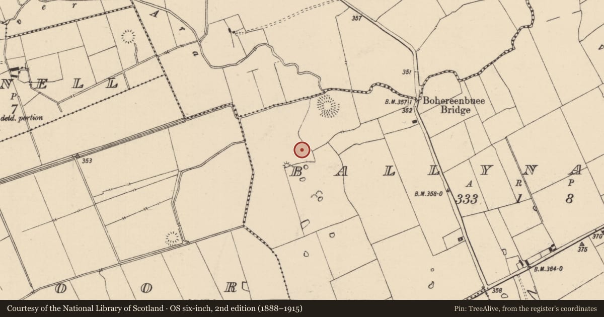 Ordnance Survey six-inch map, 2nd edition (1888–1915) covering the location of Barrow - ditch barrow, Ballynahow (Bruis Par.), County Tipperary South, with a pin at the register's coordinates