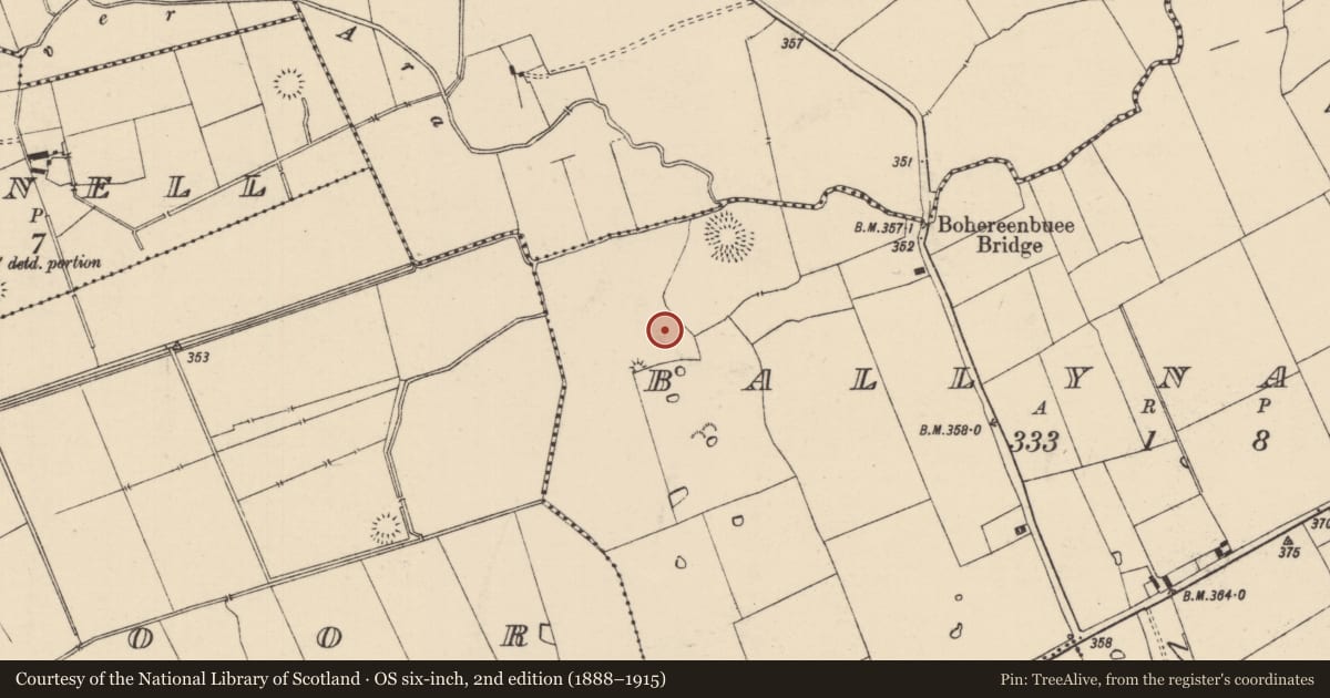 Ordnance Survey six-inch map, 2nd edition (1888–1915) covering the location of Barrow - ditch barrow, Ballynahow (Bruis Par.), County Tipperary South, with a pin at the register's coordinates