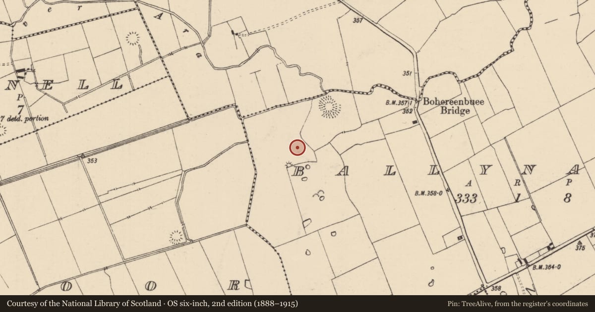 Ordnance Survey six-inch map, 2nd edition (1888–1915) covering the location of Barrow - ditch barrow, Ballynahow (Bruis Par.), County Tipperary South, with a pin at the register's coordinates