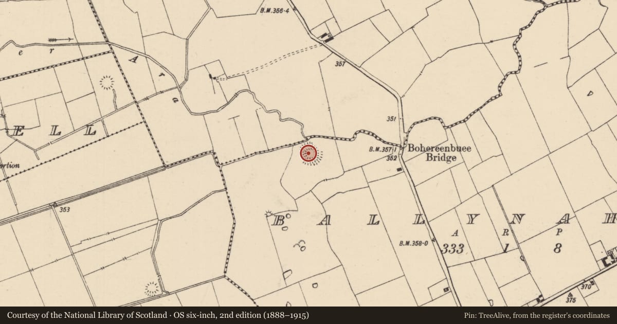 Ordnance Survey six-inch map, 2nd edition (1888–1915) covering the location of Ringfort - rath, Ballynahow (Bruis Par.), County Tipperary South, with a pin at the register's coordinates