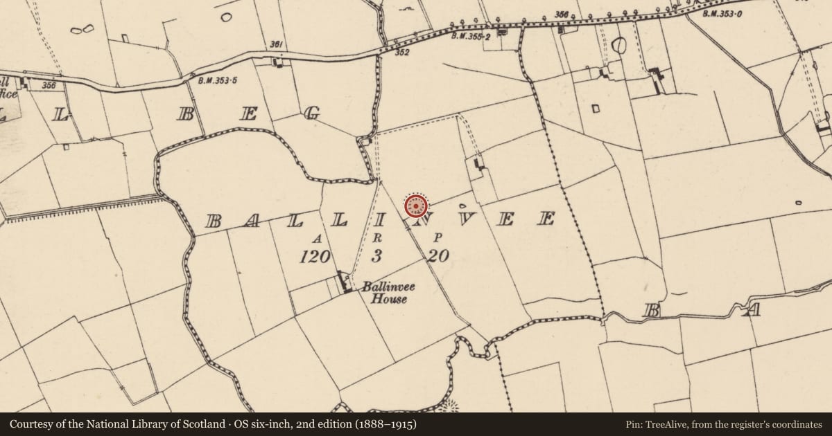 Ordnance Survey six-inch map, 2nd edition (1888–1915) covering the location of Ringfort - rath, Ballinvee, County Tipperary South, with a pin at the register's coordinates