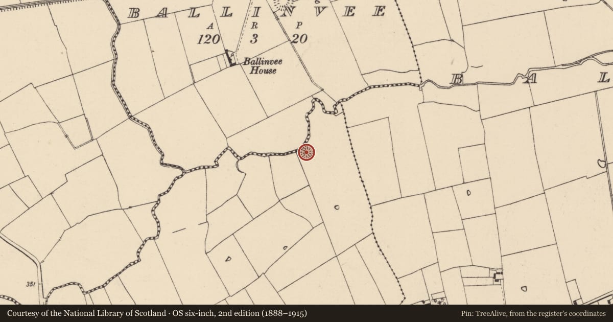 Ordnance Survey six-inch map, 2nd edition (1888–1915) covering the location of Ringfort - rath, Ballynahow (Bruis Par.), County Tipperary South, with a pin at the register's coordinates