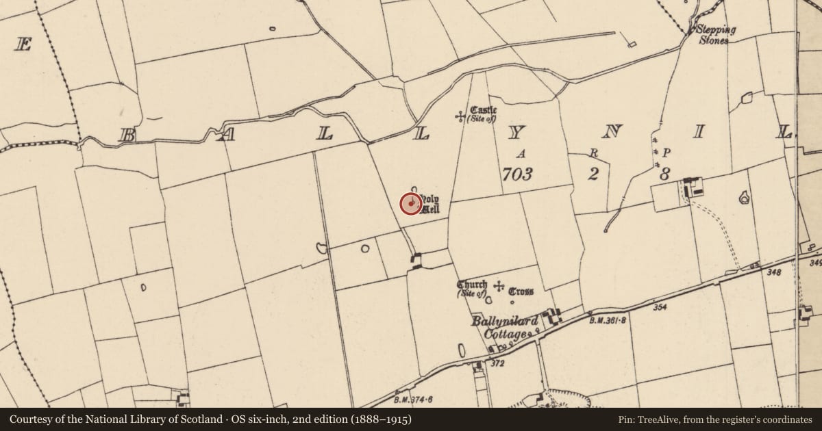 Ordnance Survey six-inch map, 2nd edition (1888–1915) covering the location of Ritual site - holy well, Ballynilard, County Tipperary South, with a pin at the register's coordinates