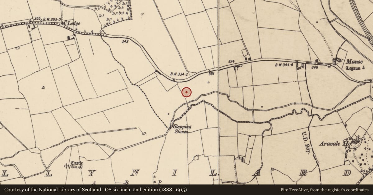 Ordnance Survey six-inch map, 2nd edition (1888–1915) covering the location of Enclosure, Bohercrow, County Tipperary South, with a pin at the register's coordinates