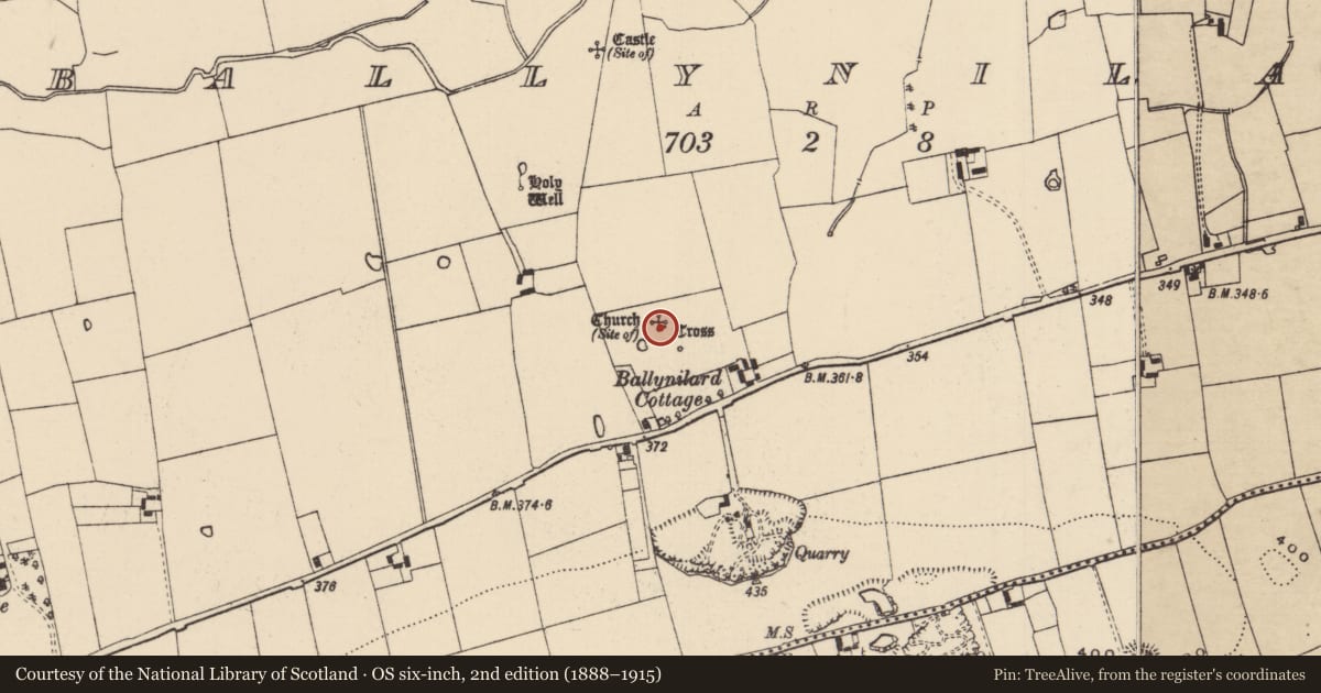 Ordnance Survey six-inch map, 2nd edition (1888–1915) covering the location of Cross - High cross, Ballynilard, County Tipperary South, with a pin at the register's coordinates