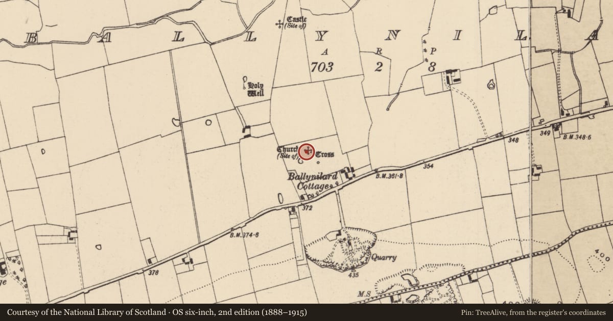 Ordnance Survey six-inch map, 2nd edition (1888–1915) covering the location of Children's burial ground, Ballynilard, County Tipperary South, with a pin at the register's coordinates