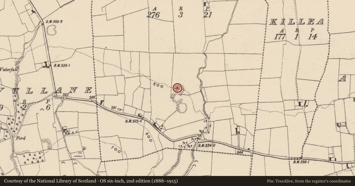 Ordnance Survey six-inch map, 2nd edition (1888–1915) covering the location of Enclosure, Farranacliff, County Tipperary South, with a pin at the register's coordinates