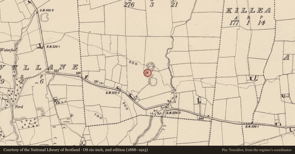 Ordnance Survey six-inch map, 2nd edition (1888–1915) covering the location of Enclosure, Farranacliff, County Tipperary South, with a pin at the register's coordinates