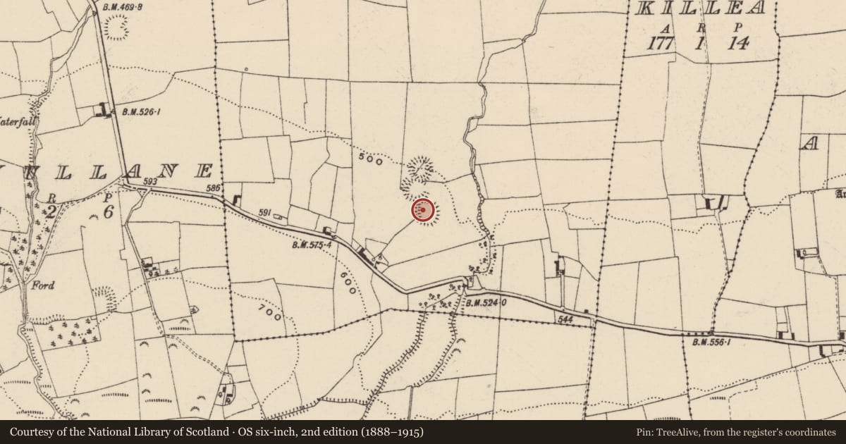 Ordnance Survey six-inch map, 2nd edition (1888–1915) covering the location of Enclosure, Farranacliff, County Tipperary South, with a pin at the register's coordinates