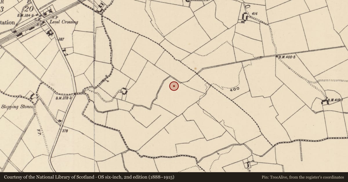 Ordnance Survey six-inch map, 2nd edition (1888–1915) covering the location of Barrow - ditch barrow, Ballynagrana (Emly Par.), County Tipperary South, with a pin at the register's coordinates
