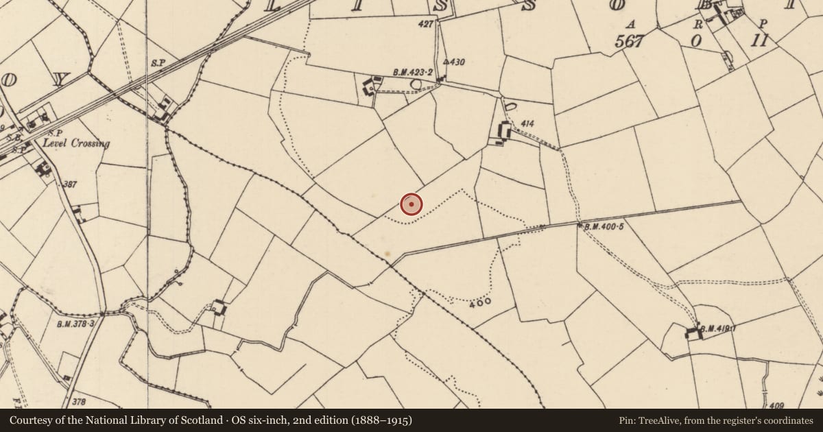 Ordnance Survey six-inch map, 2nd edition (1888–1915) covering the location of Barrow - ditch barrow, Lissobihane, County Tipperary South, with a pin at the register's coordinates