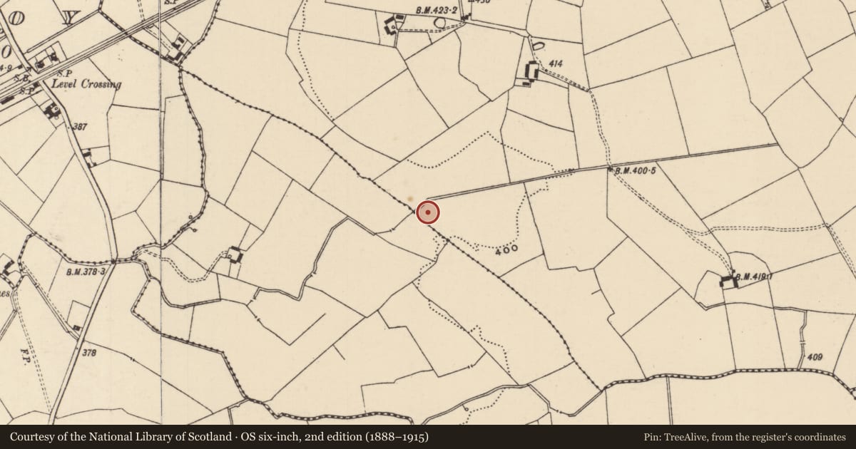 Ordnance Survey six-inch map, 2nd edition (1888–1915) covering the location of Barrow - ring-barrow, Lissobihane, County Tipperary South, with a pin at the register's coordinates