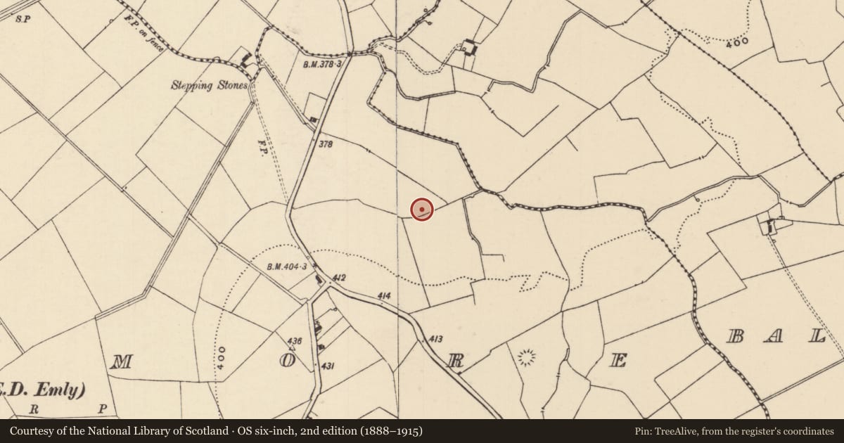Ordnance Survey six-inch map, 2nd edition (1888–1915) covering the location of Barrow - ring-barrow, Moanmore (Emly Par.), County Tipperary South, with a pin at the register's coordinates