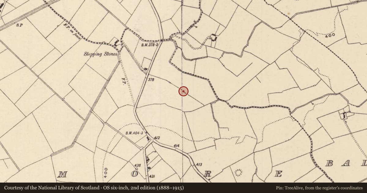 Ordnance Survey six-inch map, 2nd edition (1888–1915) covering the location of Field system, Ballynagrana (Emly Par.), Moanmore (Emly Par.), County Tipperary South, with a pin at the register's coordinates