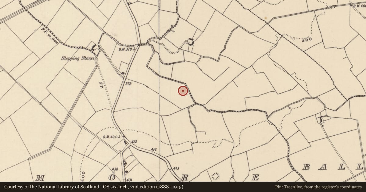 Ordnance Survey six-inch map, 2nd edition (1888–1915) covering the location of Barrow - ring-barrow, Moanmore (Emly Par.), County Tipperary South, with a pin at the register's coordinates