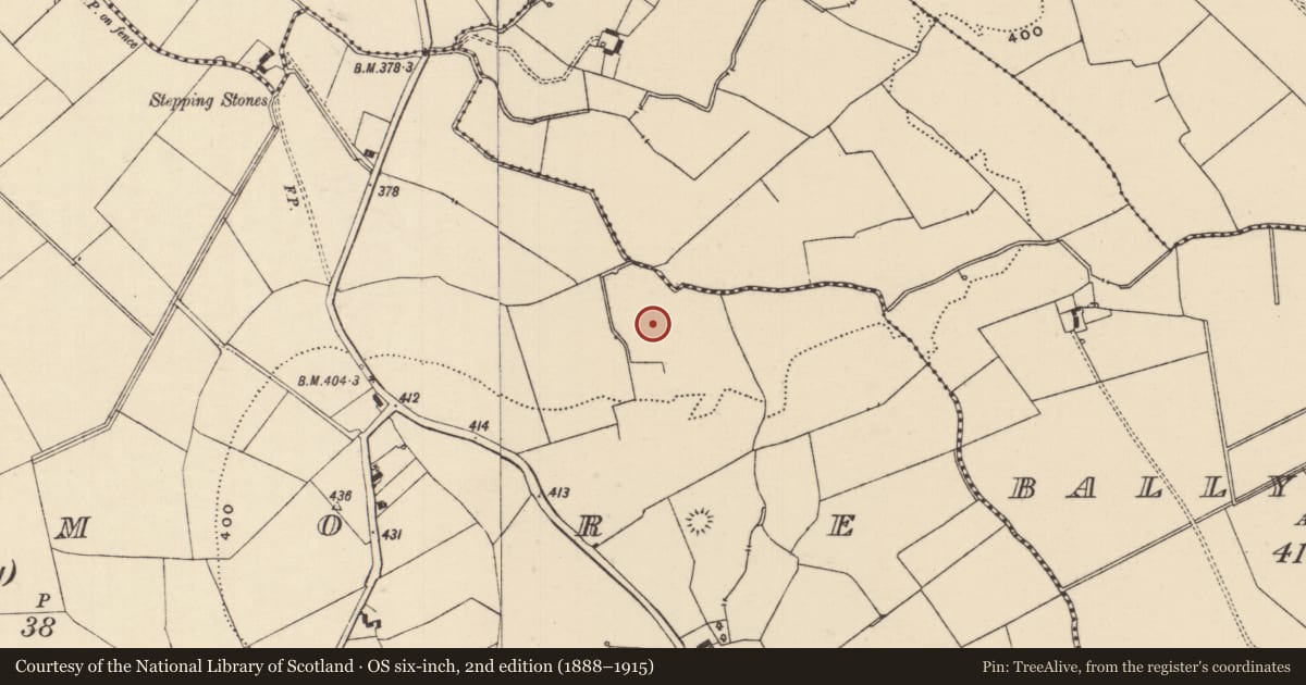 Ordnance Survey six-inch map, 2nd edition (1888–1915) covering the location of Barrow - ring-barrow, Moanmore (Emly Par.), County Tipperary South, with a pin at the register's coordinates