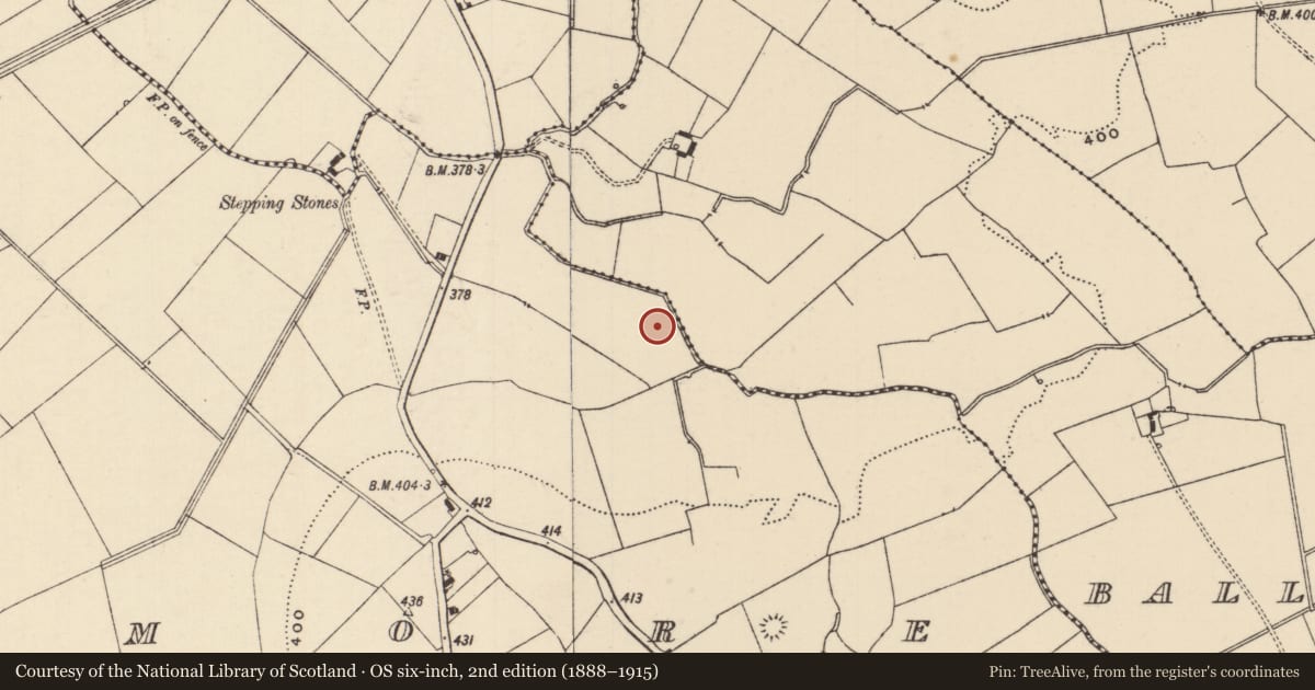 Ordnance Survey six-inch map, 2nd edition (1888–1915) covering the location of Barrow - unclassified, Moanmore (Emly Par.), County Tipperary South, with a pin at the register's coordinates