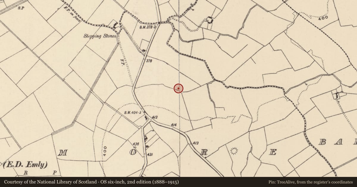 Ordnance Survey six-inch map, 2nd edition (1888–1915) covering the location of Barrow - ring-barrow, Moanmore (Emly Par.), County Tipperary South, with a pin at the register's coordinates