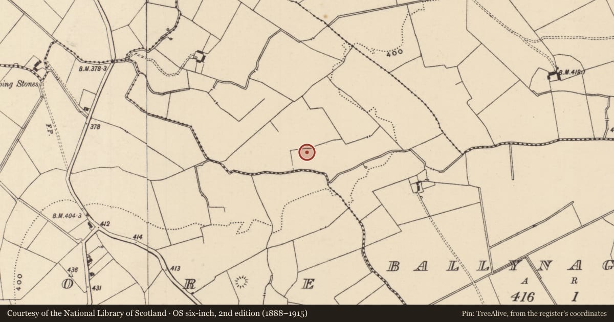 Ordnance Survey six-inch map, 2nd edition (1888–1915) covering the location of Barrow - ring-barrow, Ballynagrana (Emly Par.), County Tipperary South, with a pin at the register's coordinates