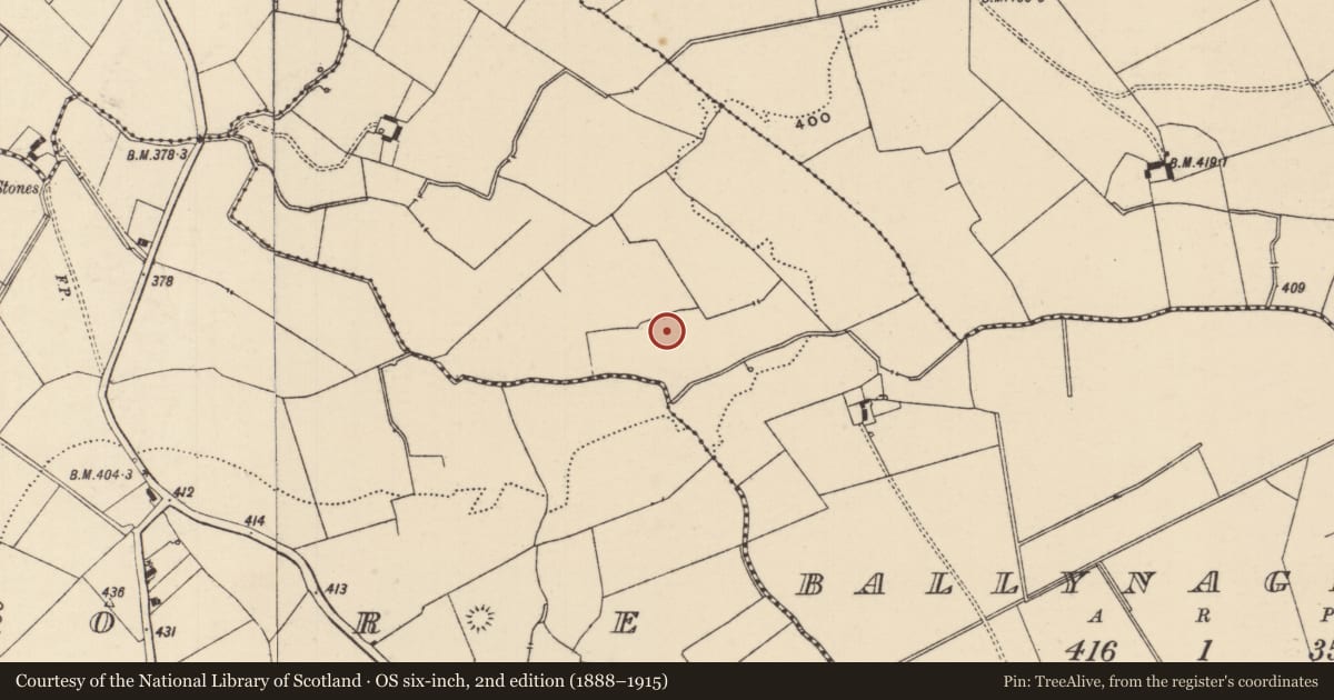 Ordnance Survey six-inch map, 2nd edition (1888–1915) covering the location of Barrow - ditch barrow, Ballynagrana (Emly Par.), County Tipperary South, with a pin at the register's coordinates